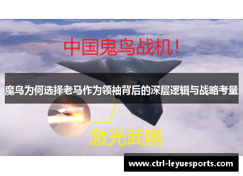 魔鸟为何选择老马作为领袖背后的深层逻辑与战略考量